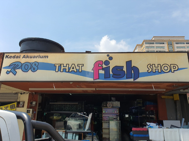 fish store reno