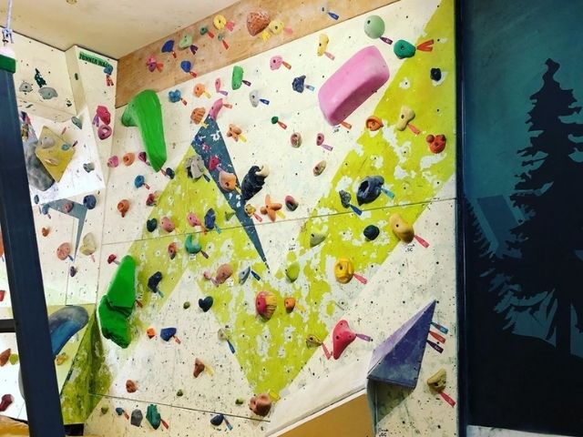 Madmonkeyz Climbing Gym Carilocal